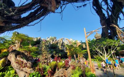 Ride Avatar’s Flight of Passage with Little Wait and No FastPass
